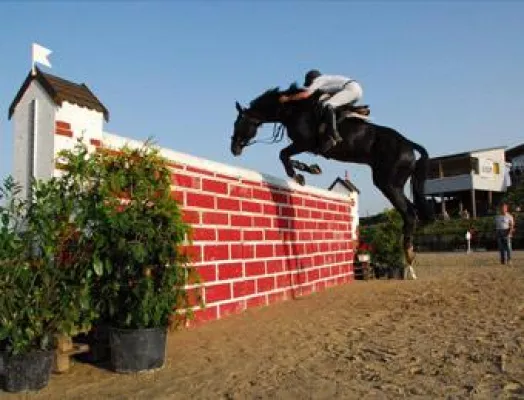 Event-Messe BRANDENBURGIA mit Sport und Entertainment Bild: Event-Messe BRANDENBURGIA mit Sport und Entertainment