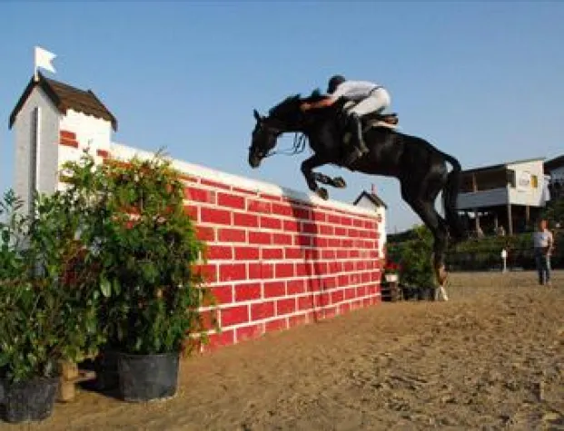 Bild: Event-Messe BRANDENBURGIA mit Sport und Entertainment