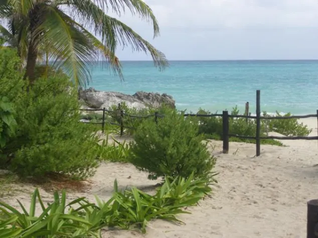 Bild: Neue Shootingstars aus der Mitte