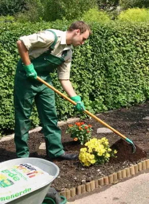 Naturprofi: Stickstoffkreislauf - Blumenerde mit Xylit-Fasern fördert die Nährstoff-Balance Bild: Naturprofi: Stickstoffkreislauf - Blumenerde mit Xylit-Fasern fördert die Nährstoff-Balance