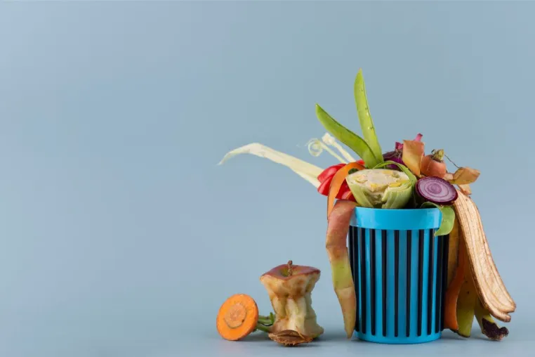 Die Wurzer Umwelt GmbH setzt neue Bioabfallverordnung konsequent um Bild: Die Wurzer Umwelt GmbH setzt neue Bioabfallverordnung konsequent um