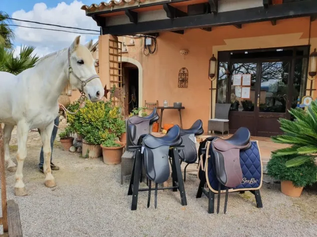 Bild: Natürliche und hochwertige Versorgung Ihres Pferdes