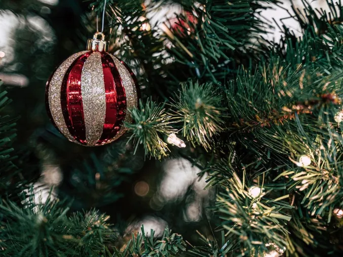 Bild: Mit Umweltbewusstsein in der Weihnachtszeit glänzen: Trotz Shutdown defekte Weihnachtsbeleuchtung fachgerecht 
