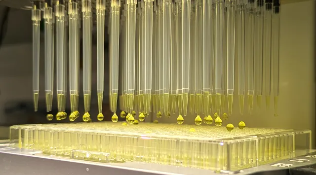 Bild: Ameisensäure im Fokus