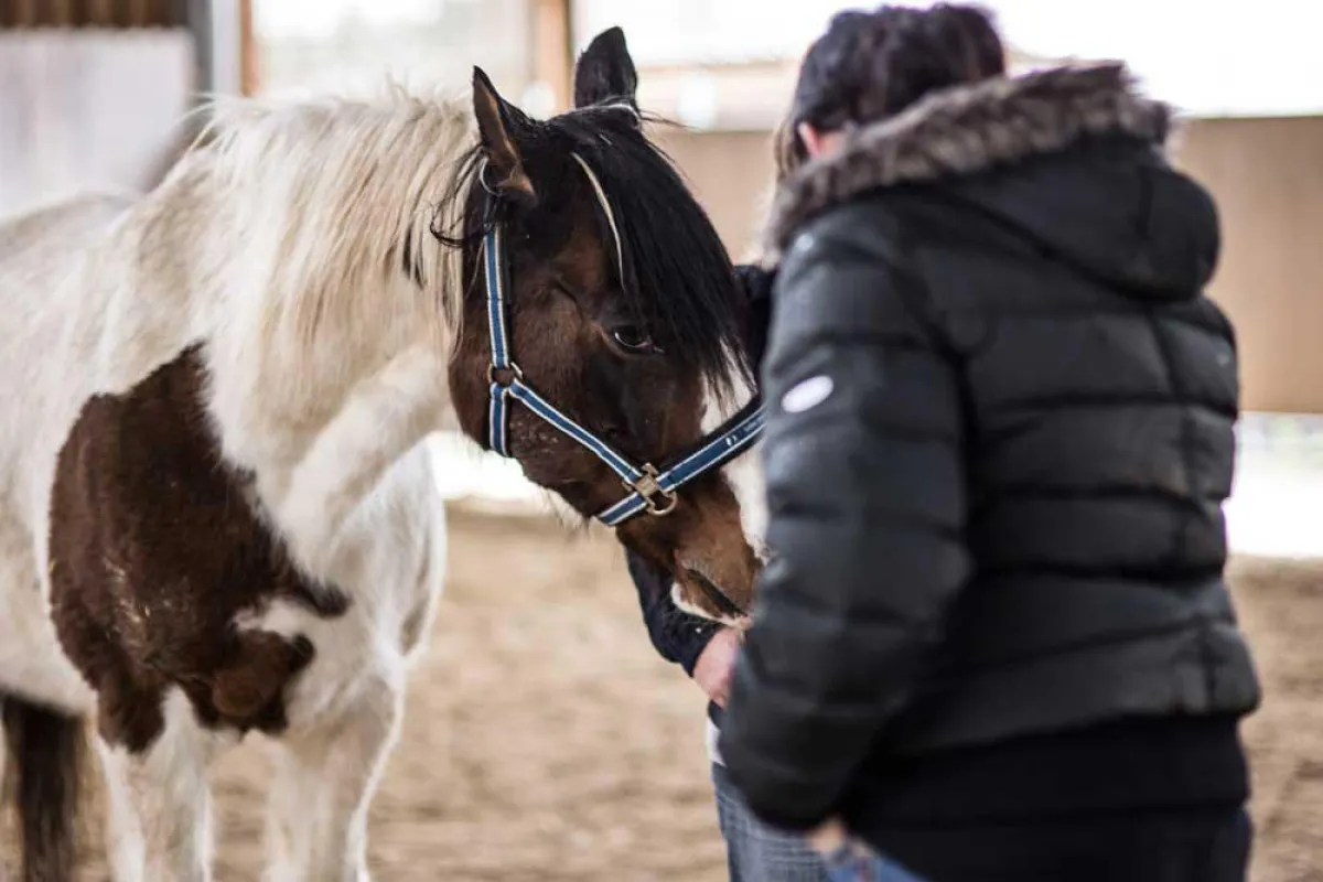Teilnehmerin im Einzelcoaching