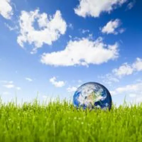 Bild: In der Weihnachtszeit auch an die Umwelt denken