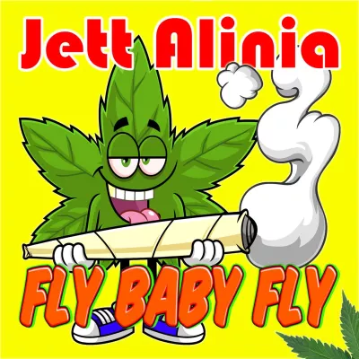 Bild:  Fly baby fly - der neue Schlager von Jett Alinia 