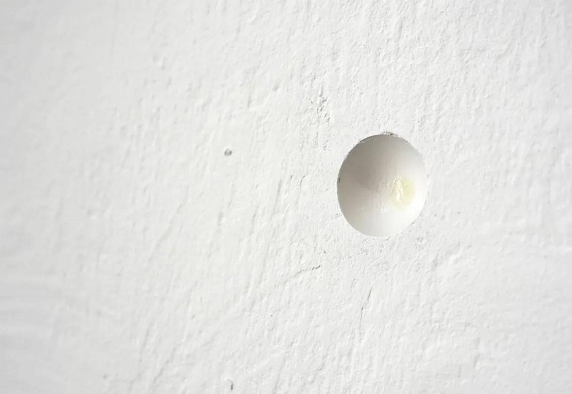 David Semper, KYMATION (Detail) // Eierschalen, Wand
