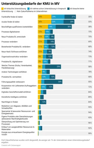Zukunftsthemen und Unterstützungsbedarfe der Unternehmen in Mecklenburg-Vorpommern Bild: Zukunftsthemen und Unterstützungsbedarfe der Unternehmen in Mecklenburg-Vorpommern