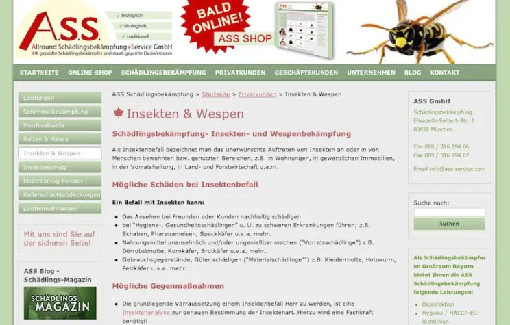 Bild: A.S.S. Schädlingsbekämpfung kümmert sich zuverlässig um Entfernung von Wespennestern