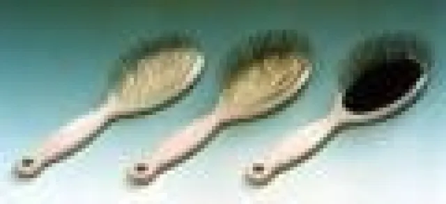 Katzenbürsten sind für die Hygiene der Katzen sehr bedeutend Bild: Katzenbürsten sind für die Hygiene der Katzen sehr bedeutend