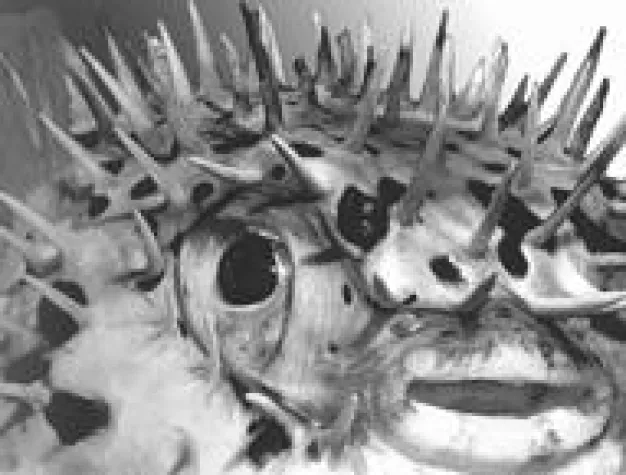 Bild: Technikerquote bei M&A-Transaktionen