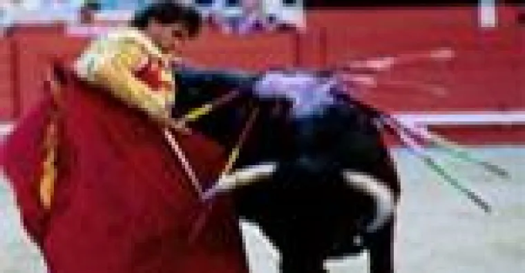 Bild: Katalonisches Parlament verbietet Stierkampf