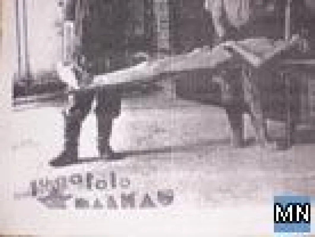 Ein Originaldokument - ein Beweisstück, das auch den Nachweis über die Falschdeklaration der verbreiteten Fotos erbrachte aus Yad Vashem