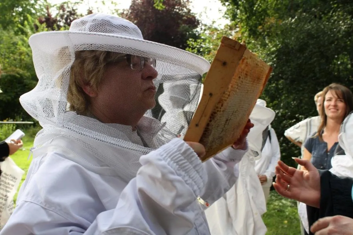 Mehr über Bienen lernten blinde und sehbehindete Menschen bei einer speziellen Führung des Instituts für Bienenkunde in Oberursel.