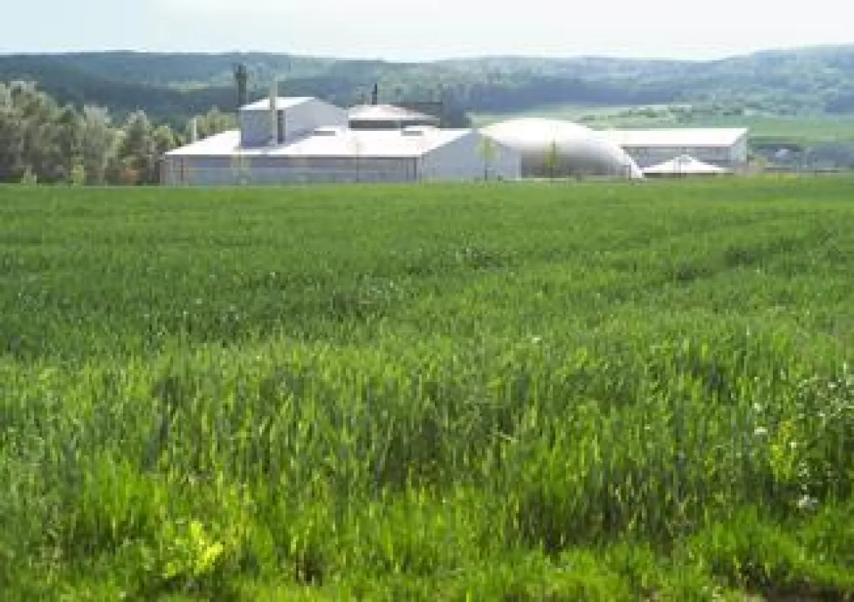 Biowert Grasraffinerie in Brensbach (Odenwald)