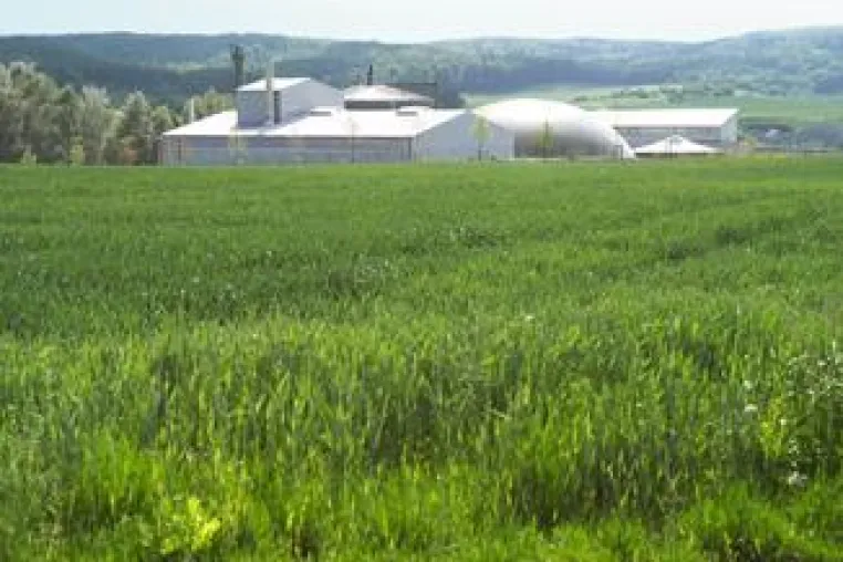 Erste Grasraffinerie der Welt erhält hohe Auszeichnung Bild: Erste Grasraffinerie der Welt erhält hohe Auszeichnung