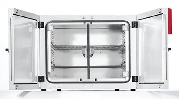 Auf den Spuren der Mikroorganismen Bild: Auf den Spuren der Mikroorganismen