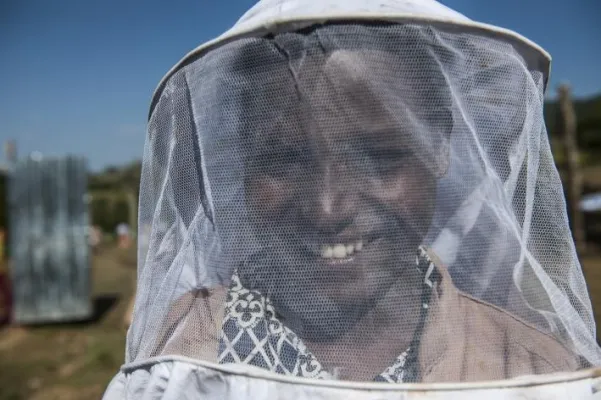 Bild: Zum Weltbienentag am 20. Mai 2018: Grüne Innovationszentren – Wie Bienen Jobs in Äthiopien schaffen