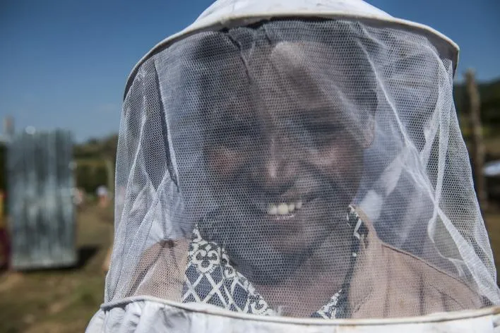 Bild: Zum Weltbienentag am 20. Mai 2018: Grüne Innovationszentren – Wie Bienen Jobs in Äthiopien schaffen