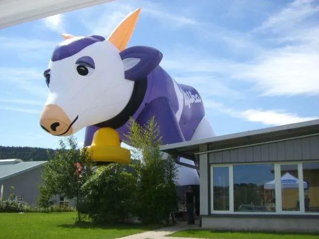 Bild: Neue aufblasbare Sonderformen von Evolution