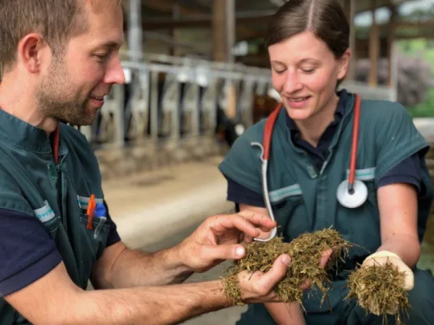 Übernahme einer Rinderpraxis im Raum Sigmaringen Bild: Übernahme einer Rinderpraxis im Raum Sigmaringen