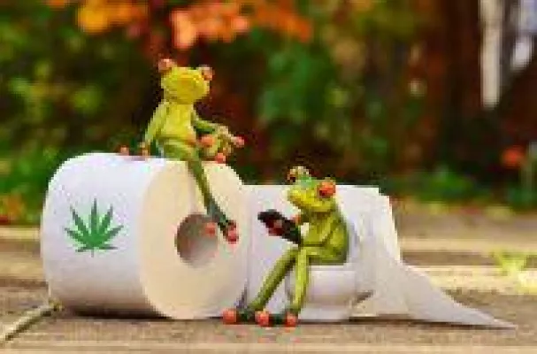 Bild: Hanfpapier wie Hanf-Toilettenpapier kann die Abholzung und globale Erwärmung weltweit reduzieren