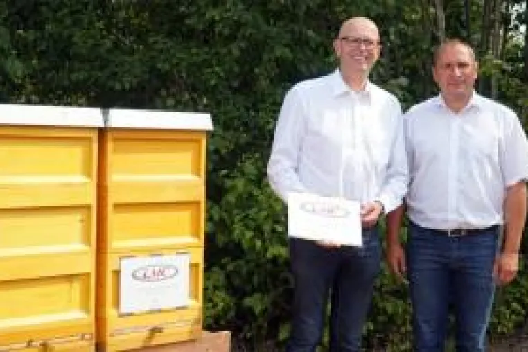 100.000 neue Mitarbeiter: LMC installiert Bienenstöcke Bild: 100.000 neue Mitarbeiter: LMC installiert Bienenstöcke