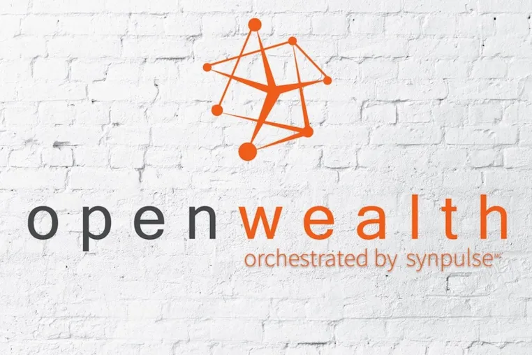 Bild: Open Banking für das Wealth Management