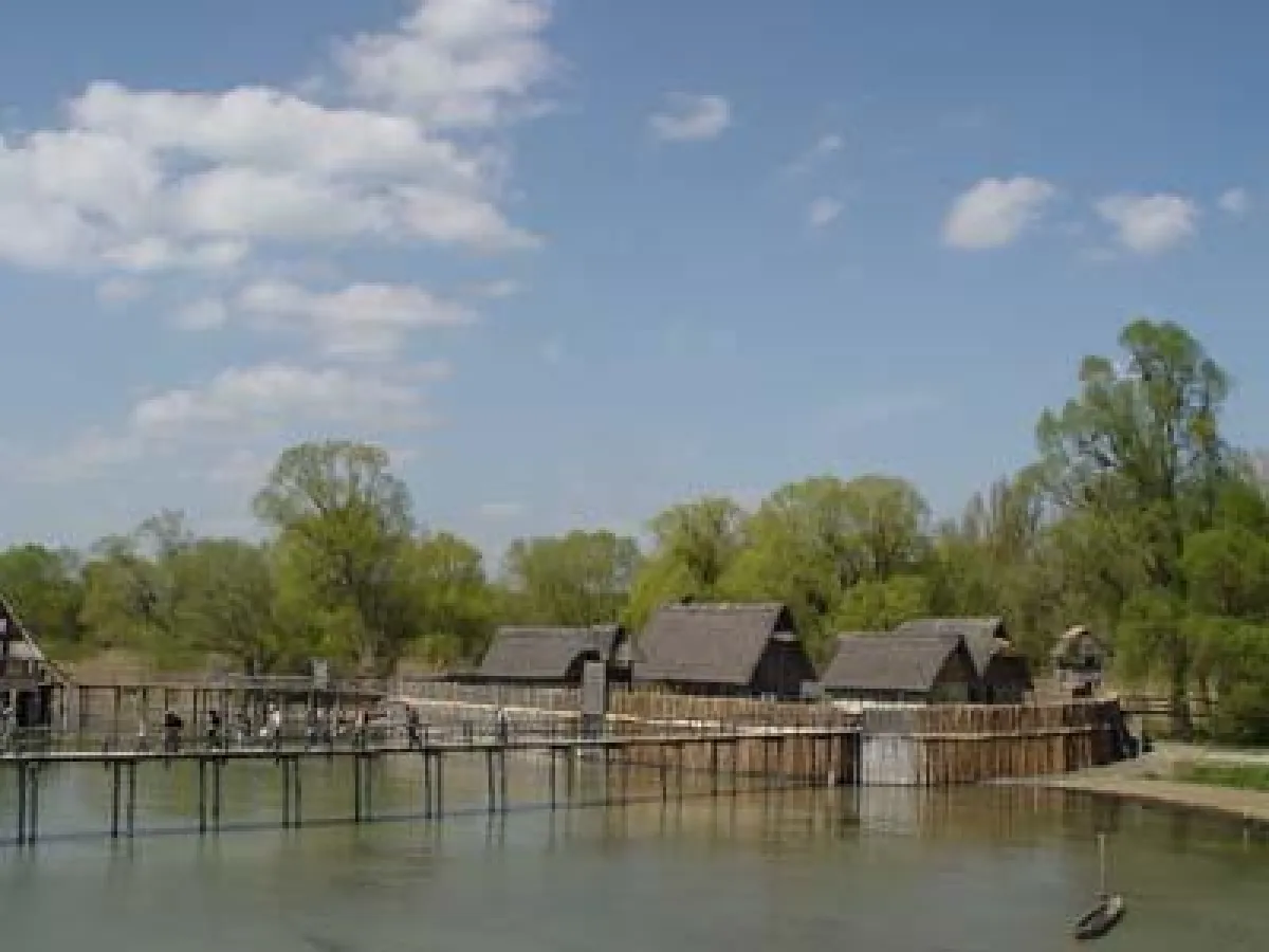 Am Bodensee haben sich nur wenige Auenwälder so naturnah erhalten wie an der Aachmündung vor dem Pfahlbaumuseum in Unteruhldingen