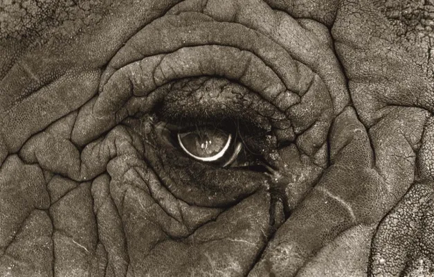 Bild: "Homage to Creation Earth and Ocean" in der APROPOS-Galerie in Köln