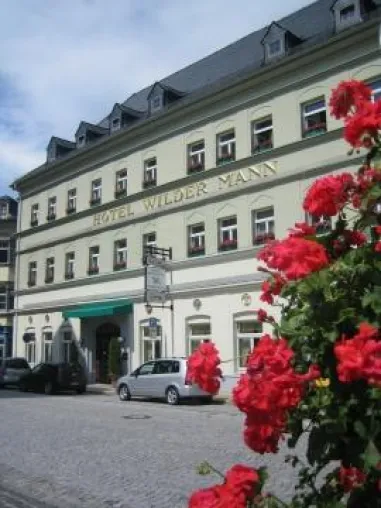 Bild: Institut50plus: »Musikfest Erzgebirge – Kunstgenuss im Zusammenklang von Landschaft, Architektur und Musik«