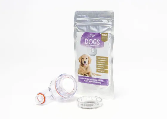 Bild: Das Familienmitglied Hund: Der Hund nimmt in der Familie eine besondere Stellung ein