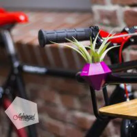 Bild: Klein, pfiffig, innovativ....