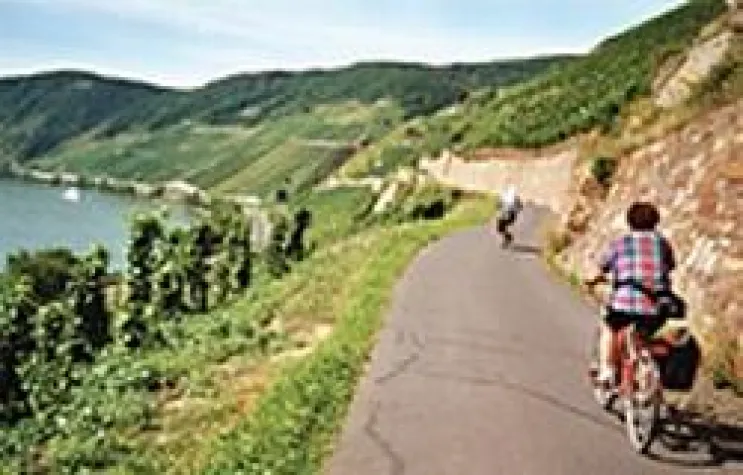 Bild: Der Rhein Radweg