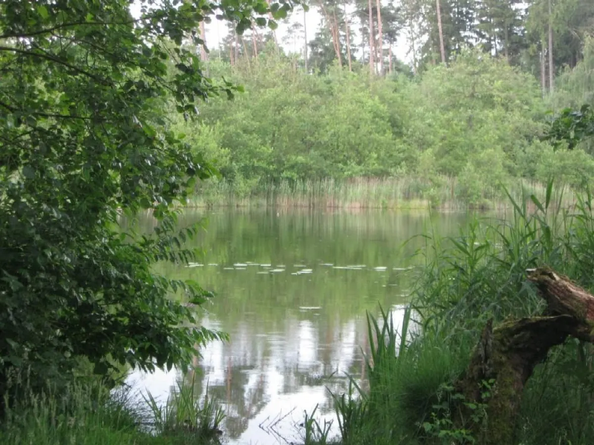 Schafwäsche fotografiert von Wald-und-Forst.de