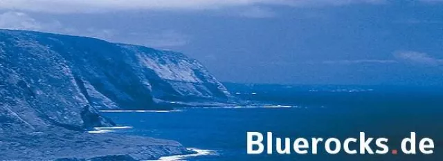 Bild: BlueRocks® motiviert arbeitssuchende Projektmanager zur PMP® Zertifizierung nach PMI®