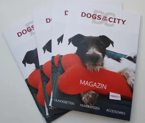 Bild: DOGS IN THE CITY - Das Magazin