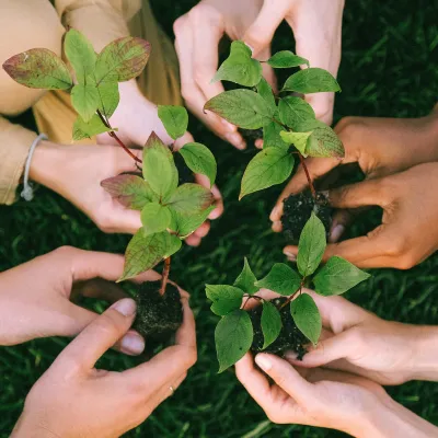 FloraPrima startet Klimaschutz-Initiative: Für jeden Aktionsstrauß wird ein Baum in Deutschland gepflanzt Bild: FloraPrima startet Klimaschutz-Initiative: Für jeden Aktionsstrauß wird ein Baum in Deutschland gepflanzt