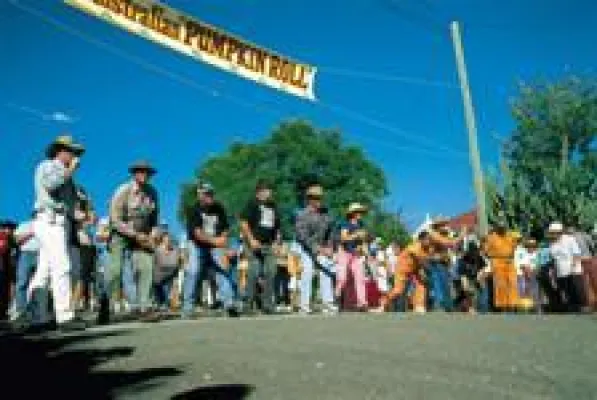 Bild: Das Outback wie es leibt und lebt