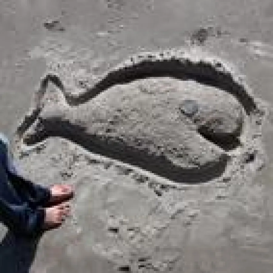 Eines der tri-genialen Kunstwerke aus ?Suche Drei Kleine Künstler?. Quelle: pixelproducts®