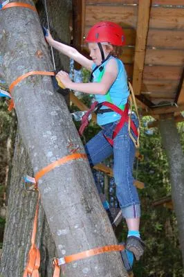Bild: Ab auf die Bäume - Gilt auch für die Kleinsten im Waldseilgarten Wallenhausen