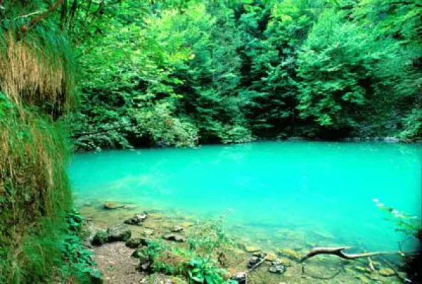 Bild: Naturparadies im Herzen Kroatiens: Zwischen Edelweiß und Edel-Reizker