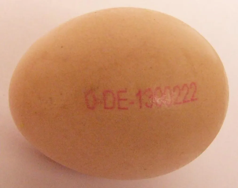 Der Stempelaufdruck beginnt bei Bio-Eiern mit einer Null. Es folgt dann der Landeskenner (hier DE für Deutschland). ©  AGfaN e.V.