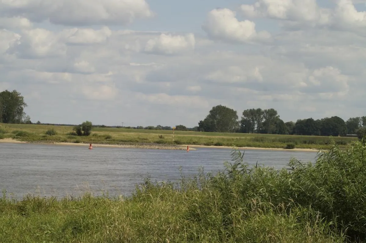 Blick auf die Elbe Fahrradweg