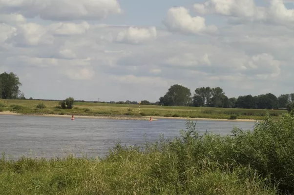 Bild: Fahrradwege in der Flusslandschaft Elbe - ein Erlebnis