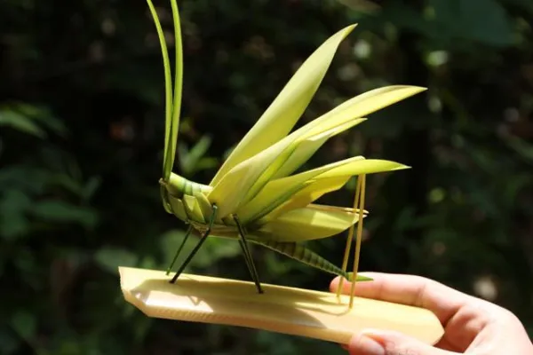 Bild: Programm für Kreativtag des Forums Innovation in Bonn steht