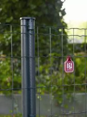 Bild: Bewährter Rollenzaun – neuer Farbton