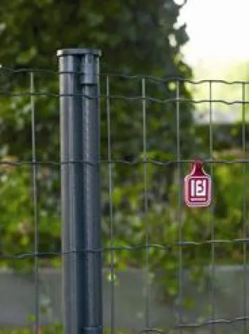 Bild: Bewährter Rollenzaun – neuer Farbton