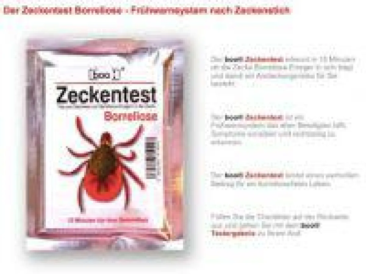 Zeckentest Borreliose